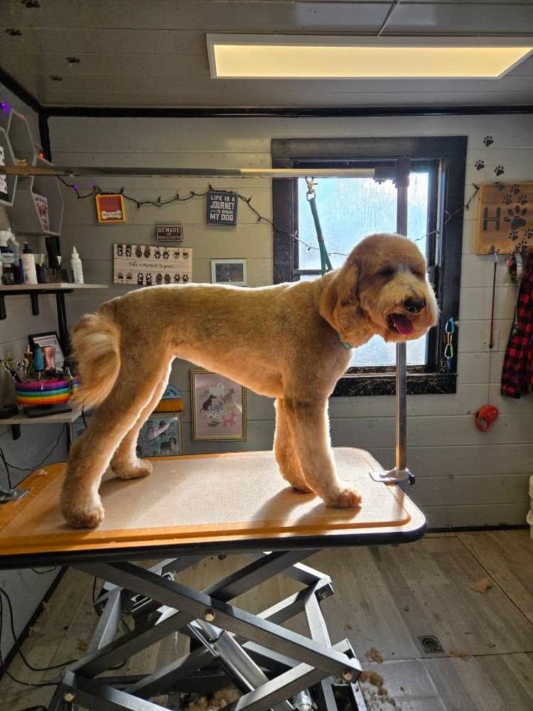 Beautiful grooming results